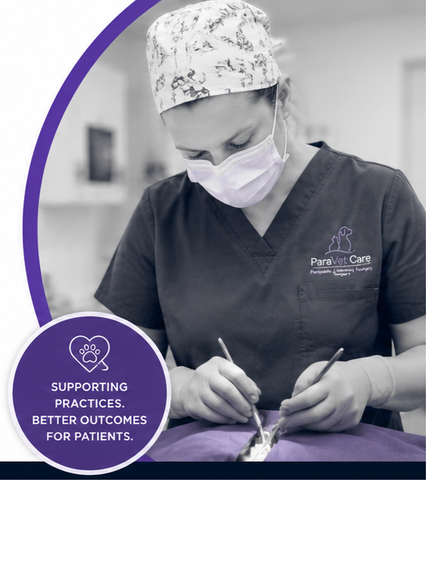 Veterinary surgeon, surgical services directly into practices.