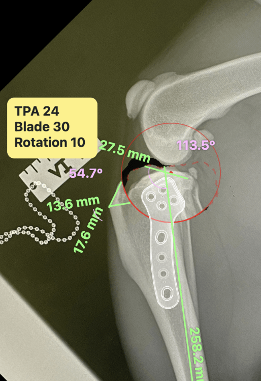 Tibial Plateau leveling Paravet Care Tibial Plateau leveling Paravet Care